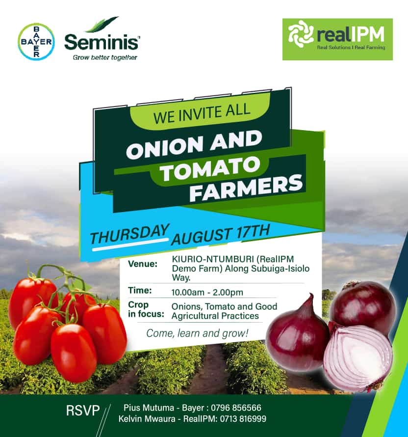 Real IPM ᅠᅠᅠᅠᅠᅠᅠᅠᅠᅠᅠᅠᅠᅠᅠᅠᅠᅠᅠᅠᅠᅠᅠᅠᅠᅠᅠᅠᅠᅠᅠᅠᅠᅠᅠ tweet media