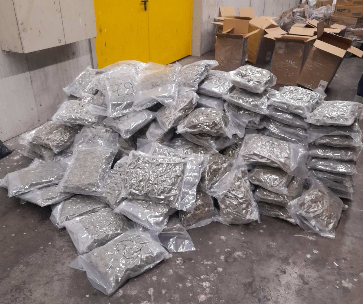 CustomsBulgaria's tweet photo. 145.11 kg of #marijuana in a truck were discovered during a joint inspection by #customsBg 🇧🇬🛂officers and border police officers at Kapitan Andreevo BCP
VIDEO- 🎯 https://t.co/onFp4u9KxH
🎯 https://t.co/gJrWYagKb7
#customsBg #RILO_WE #EUcustoms #WCO https://t.co/JejkEnTuoc