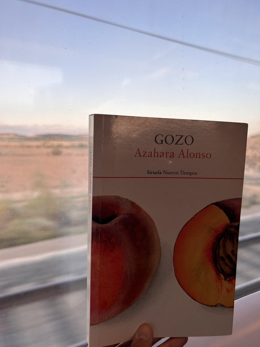 Prencipio o zaguer viache d'o verano rematando o libro d'@azaharalonso 📖 Gracias por este viache a «Gozo». ¡Brutal!❤️‍🔥