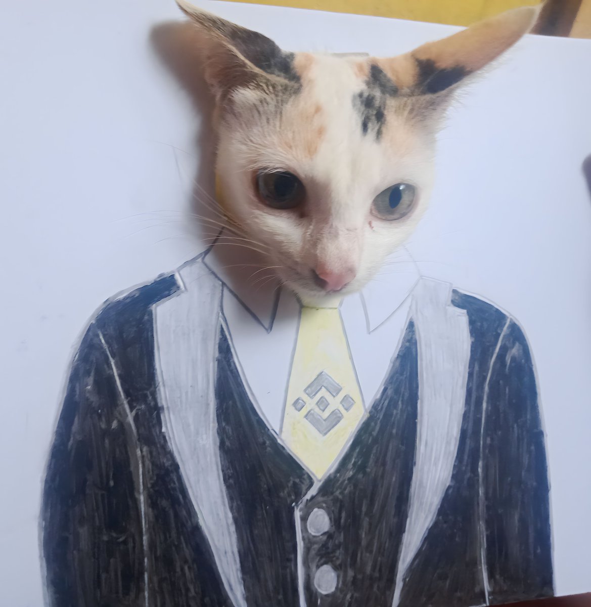 masterbiio's tweet photo. @binance This is my cat his name is BNB because  of his color white black and yellow. #Binance #Binancecat #InternationalCatDay #catbinancenecktie https://t.co/vNI9Aqbaqa