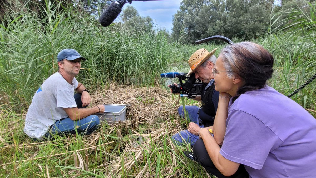 ProjectEmysR's tweet photo. 🎥 🌱🐢 Suzanne Roser and her #TV team are in the field with @KTheissinger for covering our project evaluating the #success of #wetlands #restoration and Emys #turtle #reintroduction throughout #Europe. 
To be released on @ARTEfr @ARTEde 
@IPHC_Strasbourg 
@geobiodiversity 
@CNRS https://t.co/OPyCurWGkz