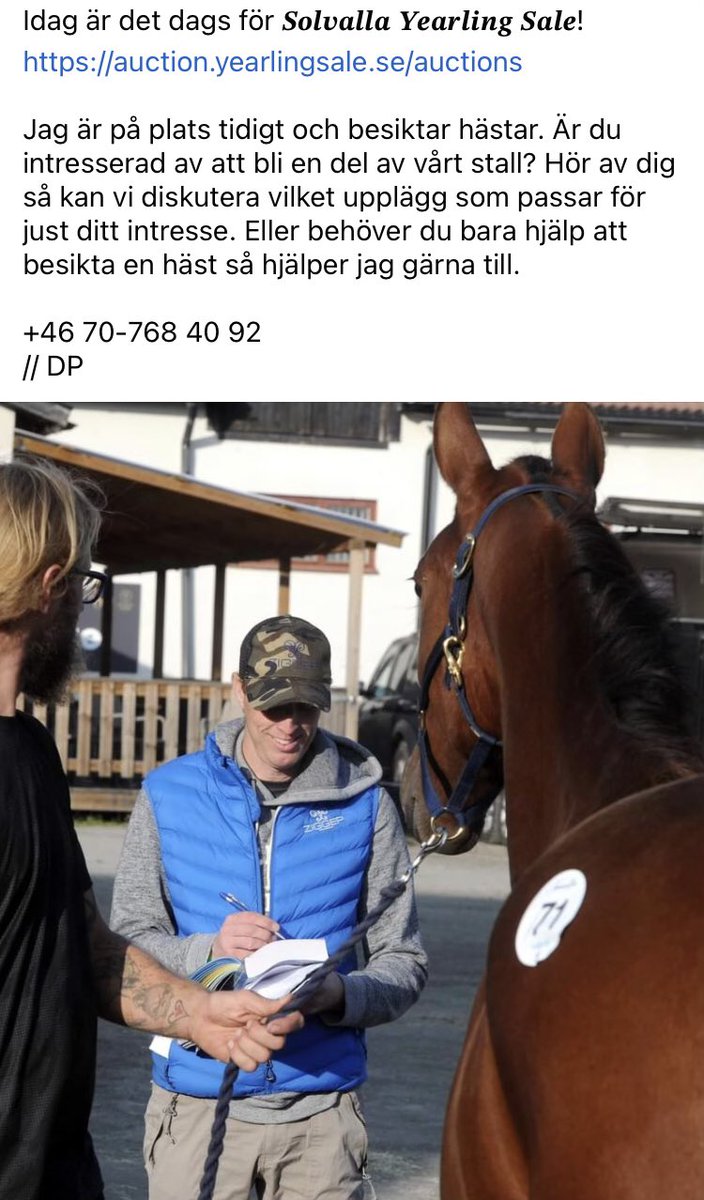 ziggep's tweet image. 