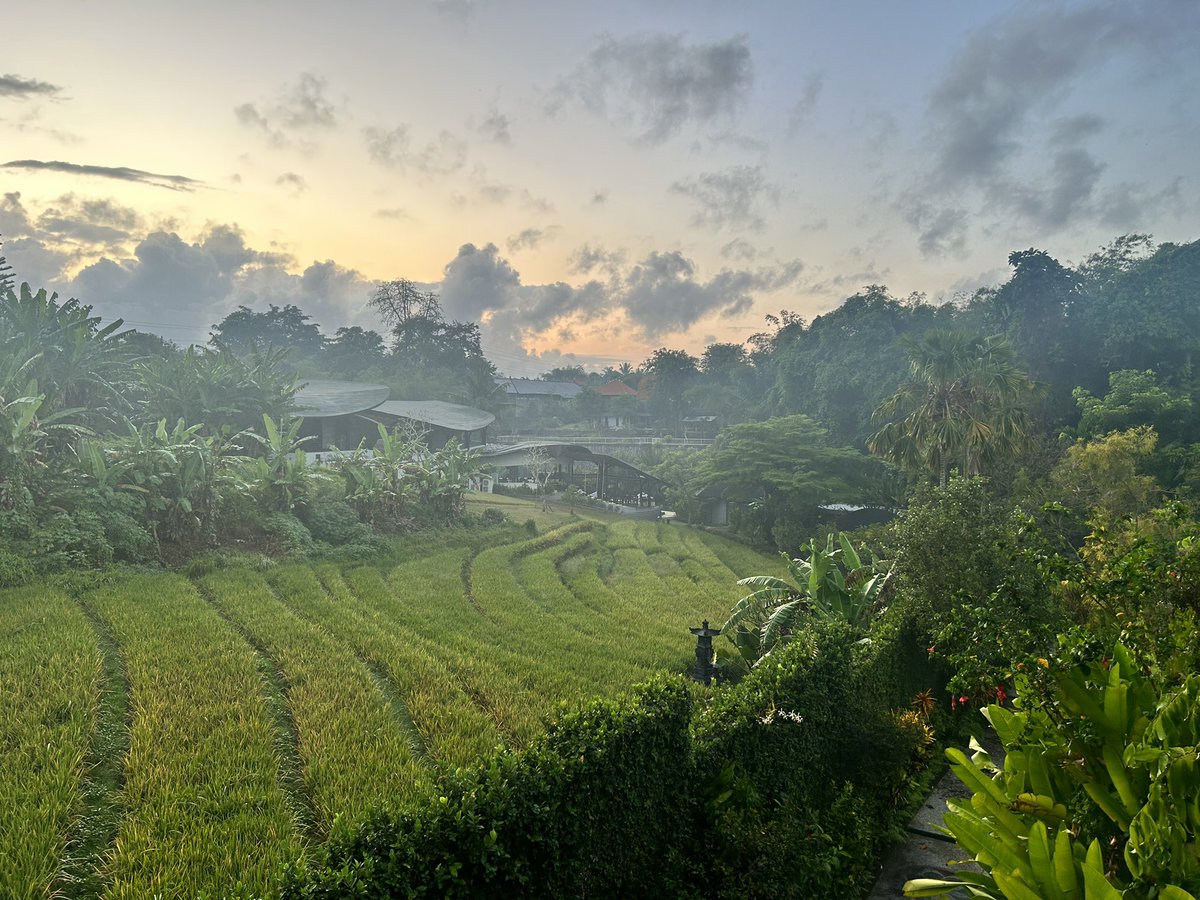 Amy Charlotte Kean tweet media