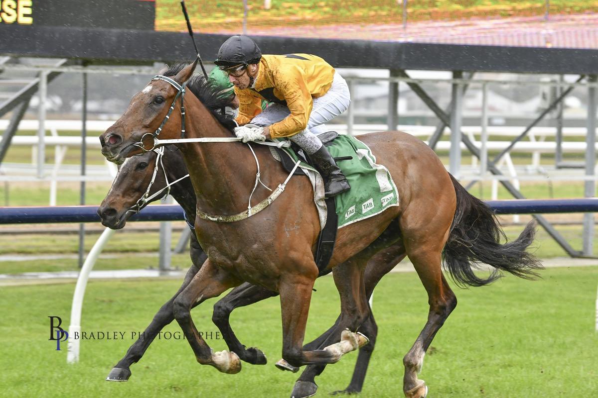 mcsmithracing's tweet image. Monday double for Team MCS @newcastleraces_ Beaumont🥇🥇

🥇 Bullbarrow - Race 2 C1 &amp;amp; Mdn Plate 2100m ridden by Ben Looker
🥇Scalextrics - Race 6 1350m Maiden Hcp also ridden by Ben Looker! 

#TeamMCS