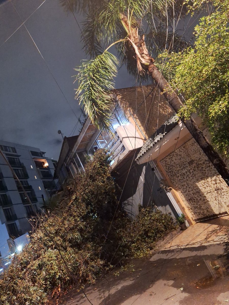 iruzanal's tweet photo. @CFE_Contigo cables derribados por árbol que se cayó https://t.co/O66c3RzVfs
