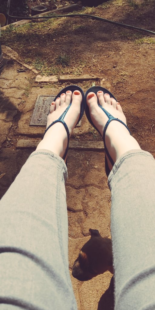 buymyfeeties's tweet photo. I am selling feet pics and videos, feel free to follow and buy feet pics. https://t.co/RctcdDuNfI