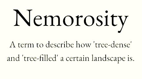 arealmofwonder's tweet image. The Word of the Day 🌿🤠🌿

Pick your winner 💫

A B
C D

(Follow for more)