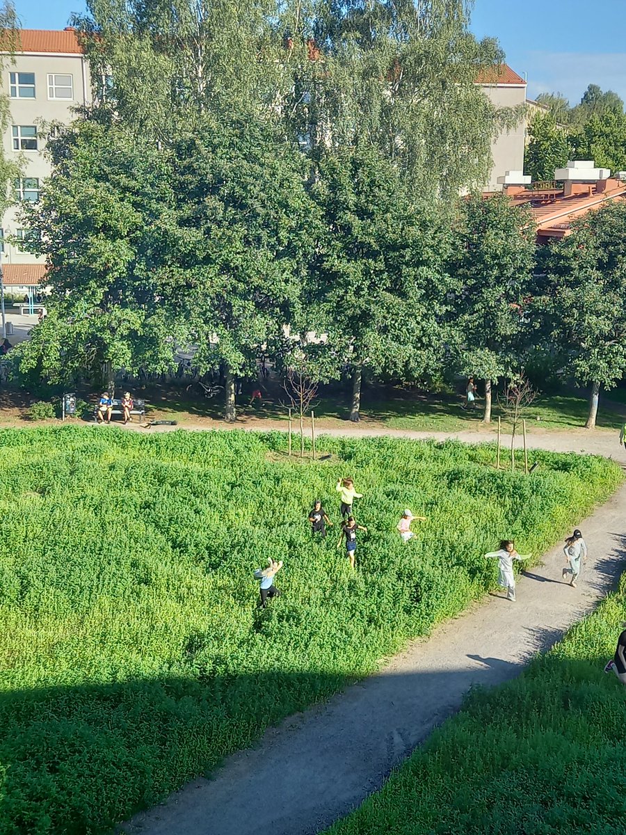 Amerin puisto on jälleen täysin rikkaruohojen valtaama. Ei oikein toimi lasten palloilu-tms toimintaa. #Helsinki #kaupunkiympäristö