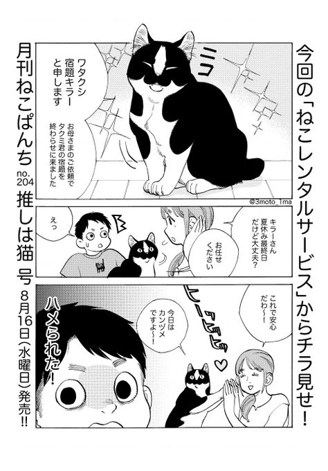 「ねこぱんち」発売です!コンビニ、書店、駅売店で探してみてくださいね 