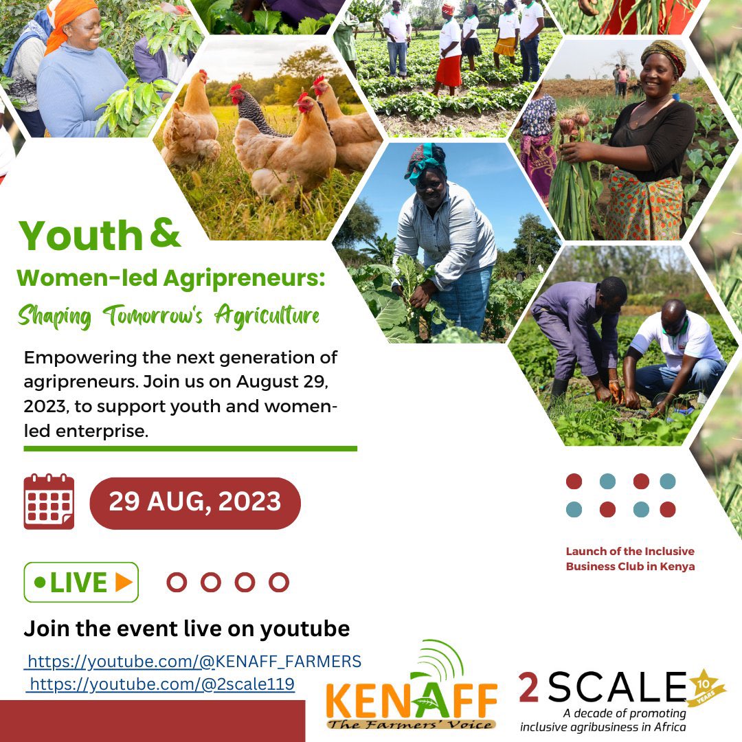 SCALE_2's tweet photo. Are you passionate about inclusive agribusiness &amp; sustainable development?

Experience the Inclusive Business Club launch in Kenya, hosted in partnership with @kenaff_farmers. Engage with thought-provoking panel discussions, insightful presentations, and captivating exhibitions. https://t.co/oBFxZXniBk