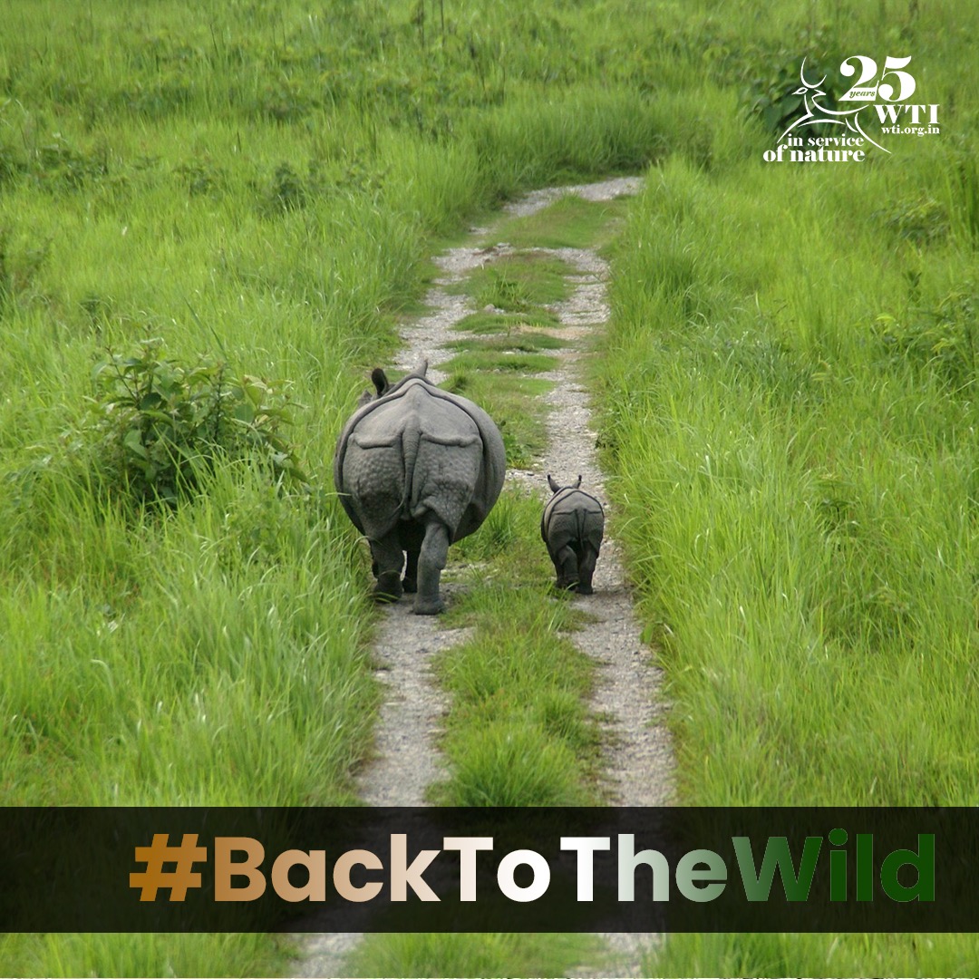 wti_org_india's tweet photo. Working #InServiceOfNature for the last 25+ years, we have been able to make a difference!
This #IndependenceDay, join hands with us and let's pledge towards creating a safe and secure space for our wildlife.
#HappyIndependenceDay2023 https://t.co/y1EhSCtLwD