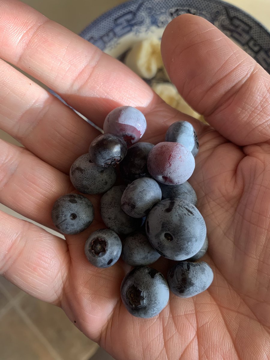 Small handful for breakfast. Never thought that bush would fruit but it’s done well this year.
