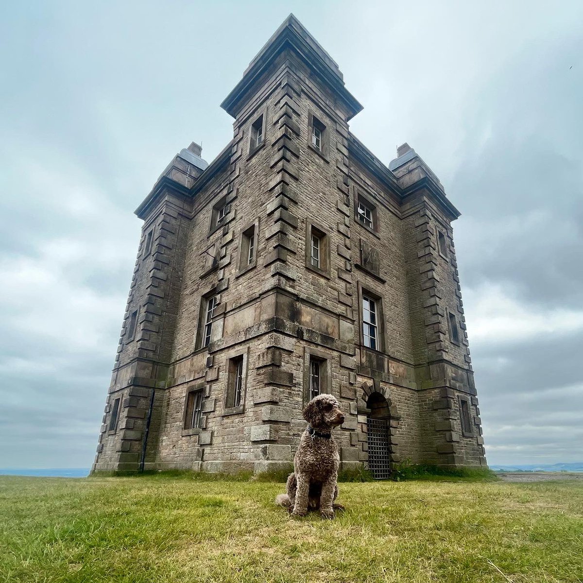 Trivia Tuesday Do you know where I am? That’s right - I’m outside The Cage, at Lyme Park! Do you live in #stockport or #southmanchester? @HD_Cheshire are always looking for volunteers, see the link in my bio to visit Hearing Dogs’ website to discover more 🐾