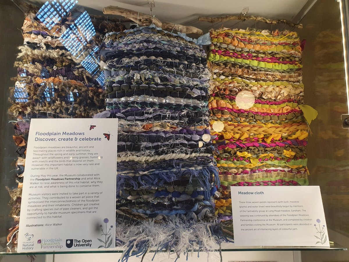 Check out the Marvellous Meadow community #art project on display <a href="/morethanadodo/">Oxford University Museum of Natural History</a>! 🎨
Artist Alice Walker worked with Care Farming members, #FMPconf23 delegates &amp; over 270 children to create woven panels for Earth (soil); Meadow (plants) &amp; Water (river) 🌼
alicewalkerart.co.uk/community-enga…