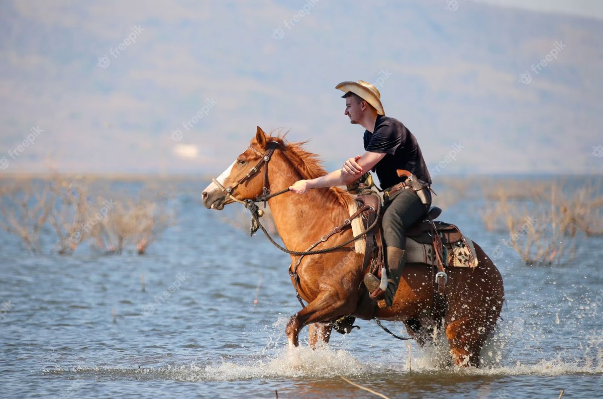 bensen_gg's tweet photo. @Flambass_EU To recover from frustrating sea battles in Wows, famed streamer Flambass enjoys an occasional horse ride on his private beach in Croatia. Photo: Reuters. https://t.co/XpHsaSFC4K