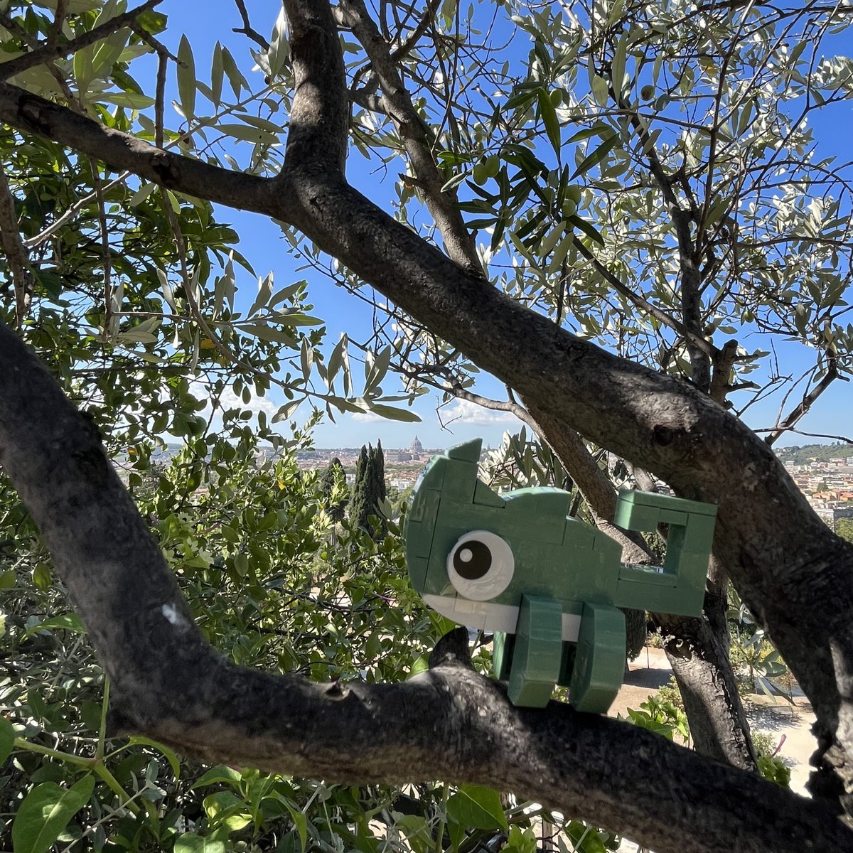 PisangG23's tweet photo. GM GM Touch Tree Tuesday in the eternal city! ππΏ
#GoodTrouble #TouchTree #chameleon #LEGO #TinyTroubles https://t.co/4Is3j4yJql