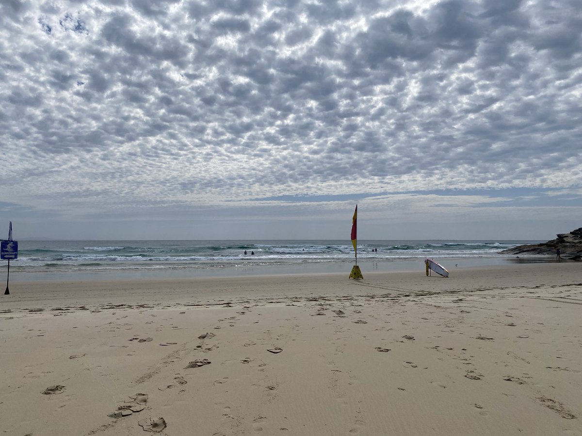 Trish Hurst tweet media