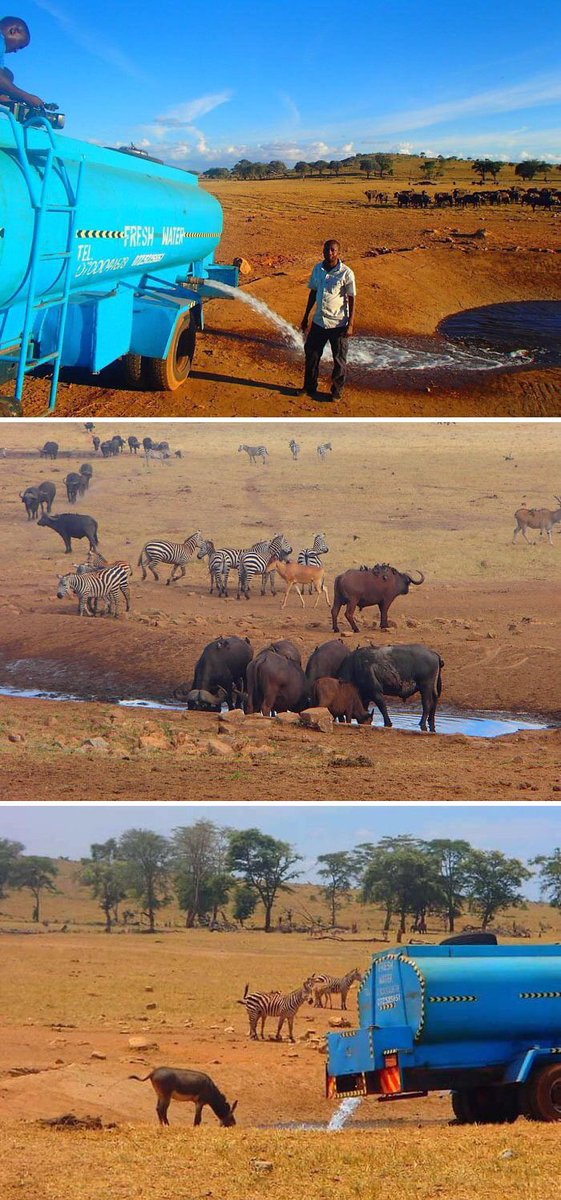 <a href="/Enezator/">Enezator</a> Indeed, no water no life. Every day this man drives hours in drought to provide water to thirsty wild animals in Kenya
