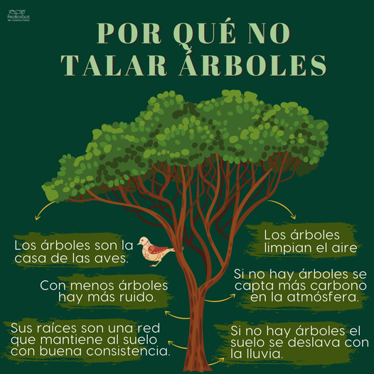 El pueblo (al que pedís el voto, representáis, y por el que tenéis vuestros puestos de trabajo) está diciendo ALTO Y CLARO que quiere conservar sus #árboles. ¿Porqué no le escucháis? 
@Pamplona_ayto 
@Ayto_SS 
@bilbao_udala 
@ZarauzkoUdala 
@Irun_informa 
@AstiarrakoUdala