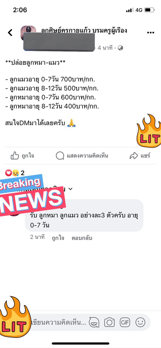 𝑚𝑎𝑑𝑎𝑚𝑒🐰 tweet media