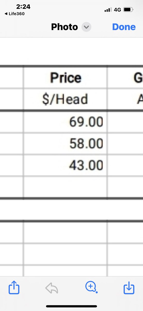 Hey <a href="/MurrayWatt/">Senator Murray Watt</a> - this is todays lamb prices after you started to piss around with our sheep markets. These lambs were in a feedlot too. The buyers are thieving wankers too <a href="/meatlivestock/">Meat & Livestock Australia</a>