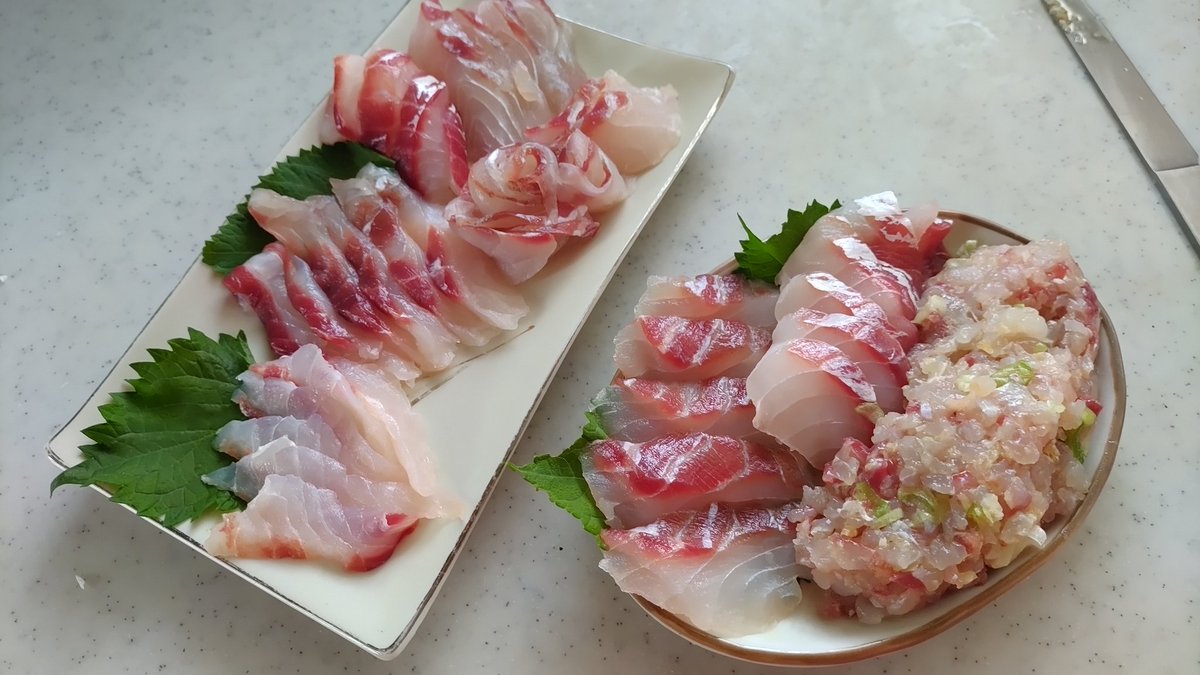 badmojo555's tweet photo. #釣り　#料理
今日のチヌの末路
右が自分用のぶつ切りとなめろう
左は薄造り風で家族に配慮
久しぶりの鯛じゃぁ〜 https://t.co/NkOMix38lZ
