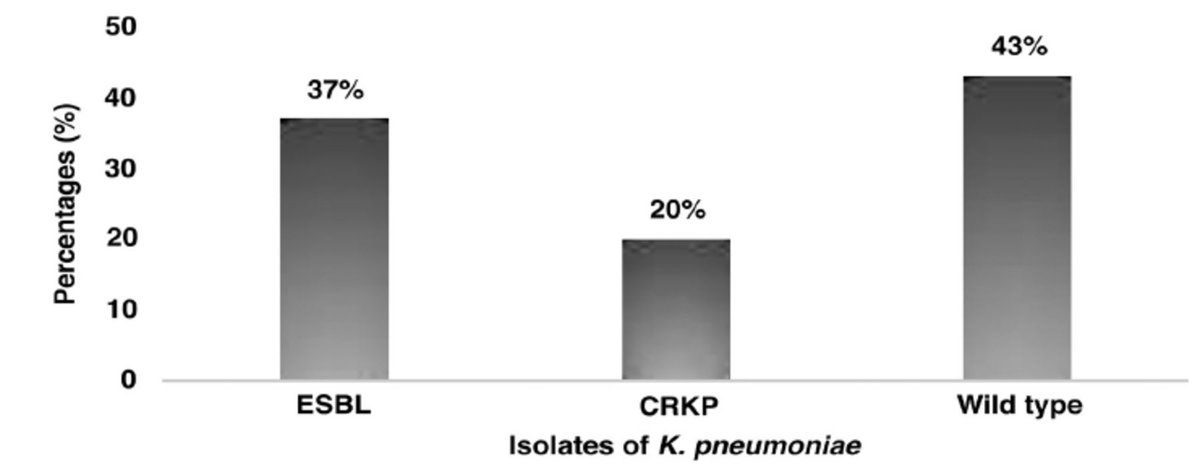 Prevalence of extended-spectrum β-lactamase and carbapenem-resistant Klebsiella pneumoniae in clinical samples

Read here: smj.org.sa/content/44/8/8…