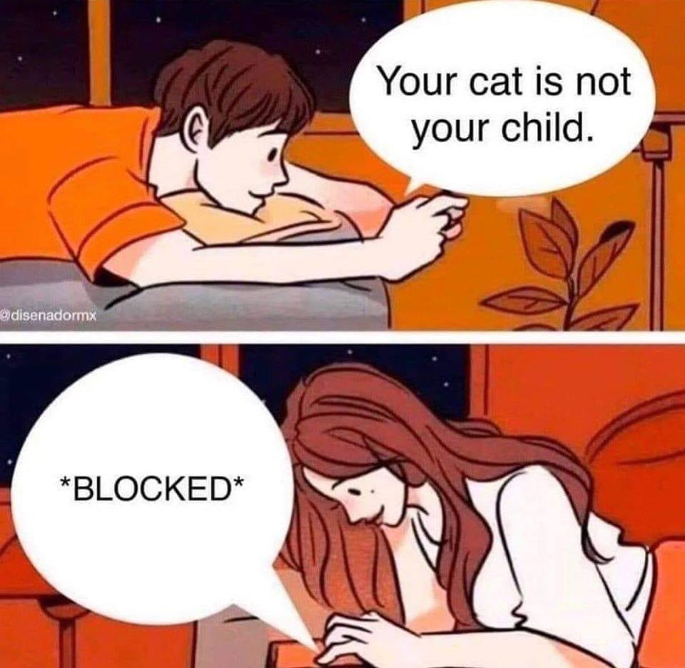 Show love to it like my child 😢
#รัฐบาลเพื่อไทย #15august2023 #789SURVIVALFINALSTAGE #AcrossTheSpiderVerse #Adana #BamBam #Bitcoin #caught #China #cat #fun #dog #cute #video