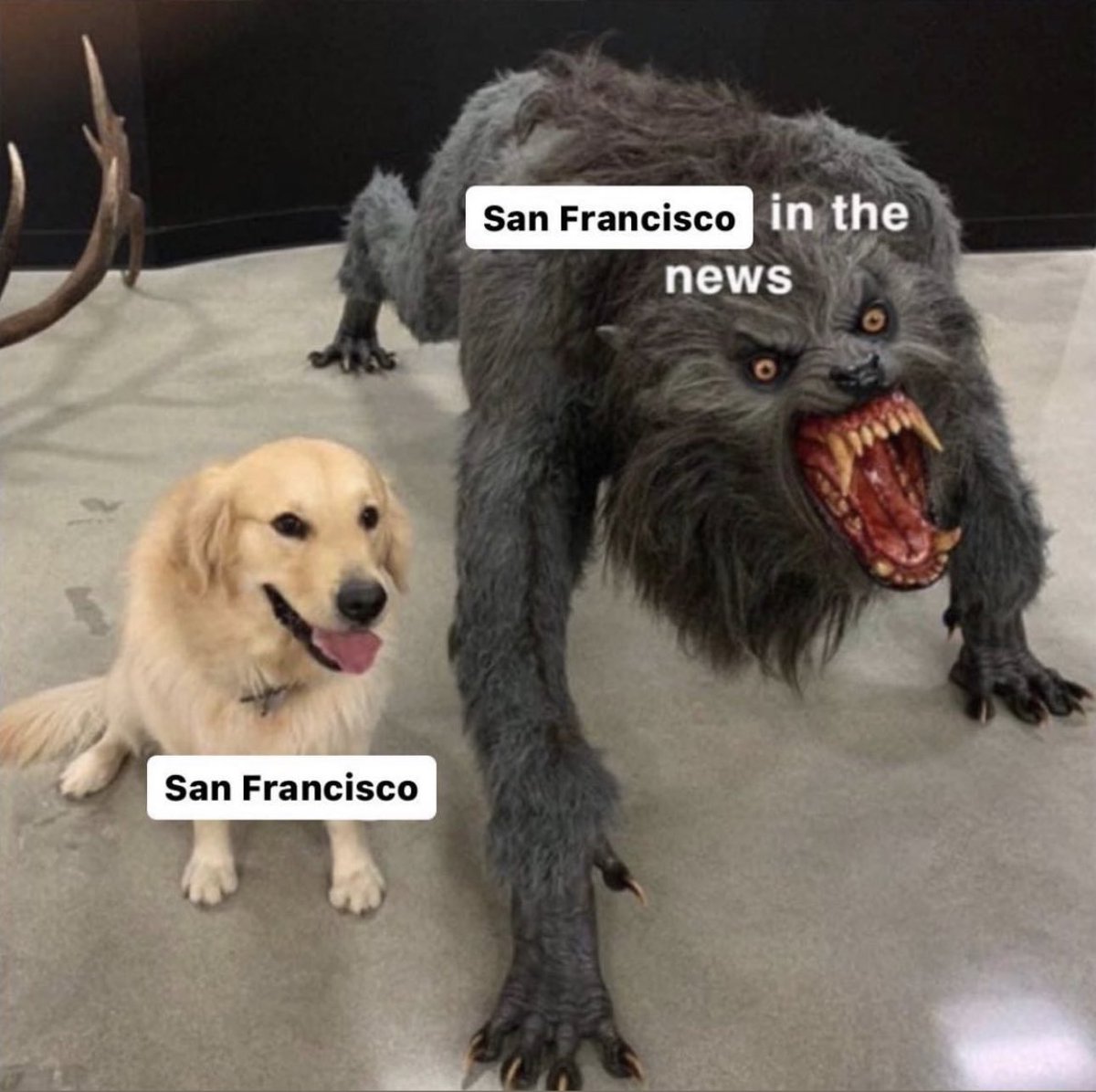 studio_daddy's tweet image. Another beautiful day in the bay