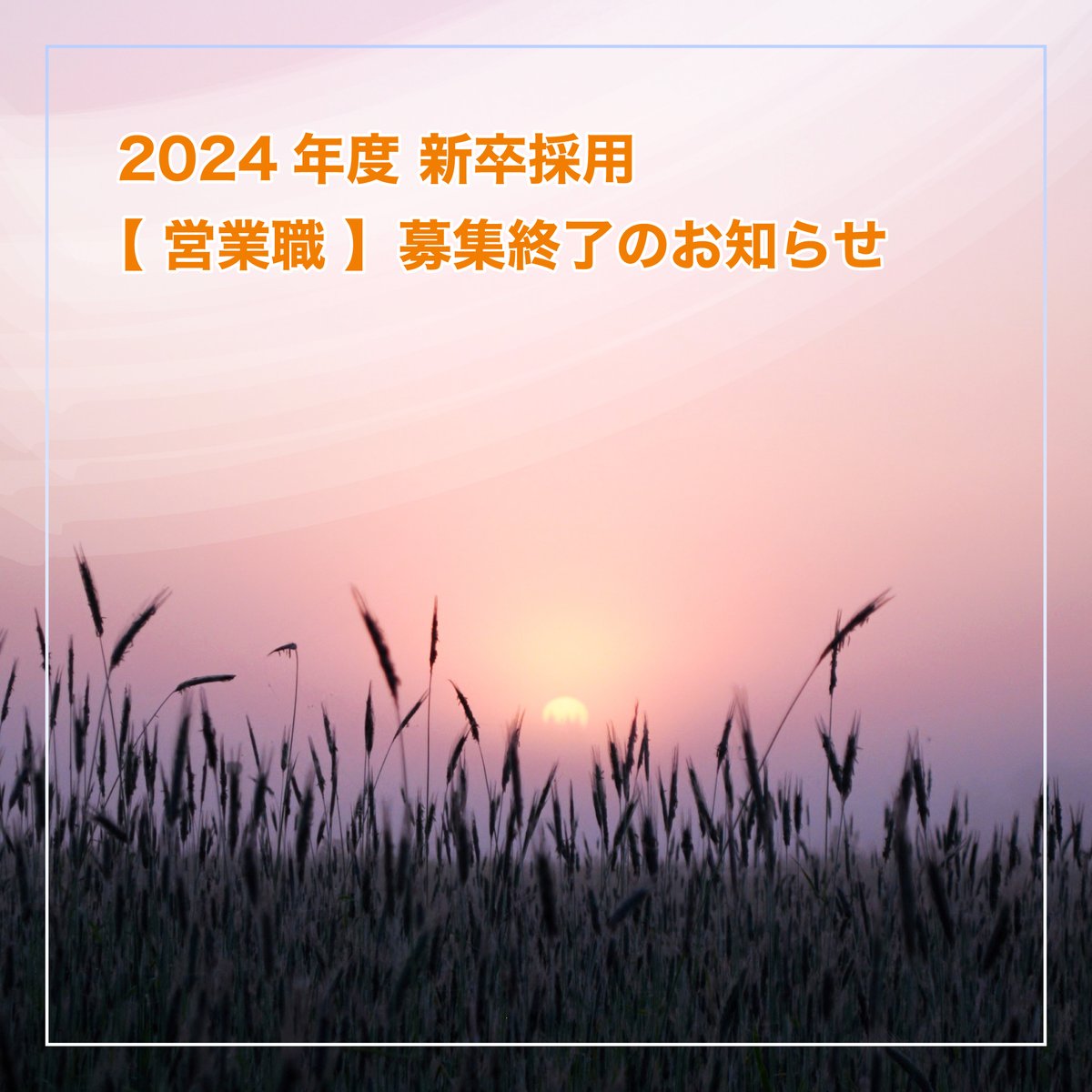 2024年卒  営業職採用の
募集は終了いたしました。
数ある企業の中から、弊社説明会
および選考にご参加いただきまして
誠にありがとうございました。

エンジニア採用の説明会は
8/16(水)13:00～14:30のみとなって
おりますので、奮ってご参加ください！

job.mynavi.jp/24/pc/search/c…