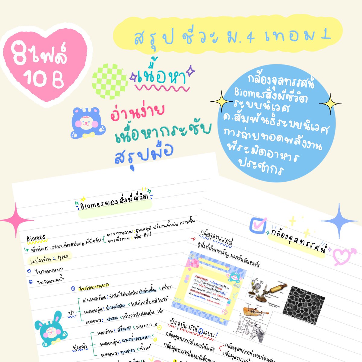ppleng🎶 รับทำการบ้าน ขายชีทสรุป ฟอนต์ลายมือ tweet media