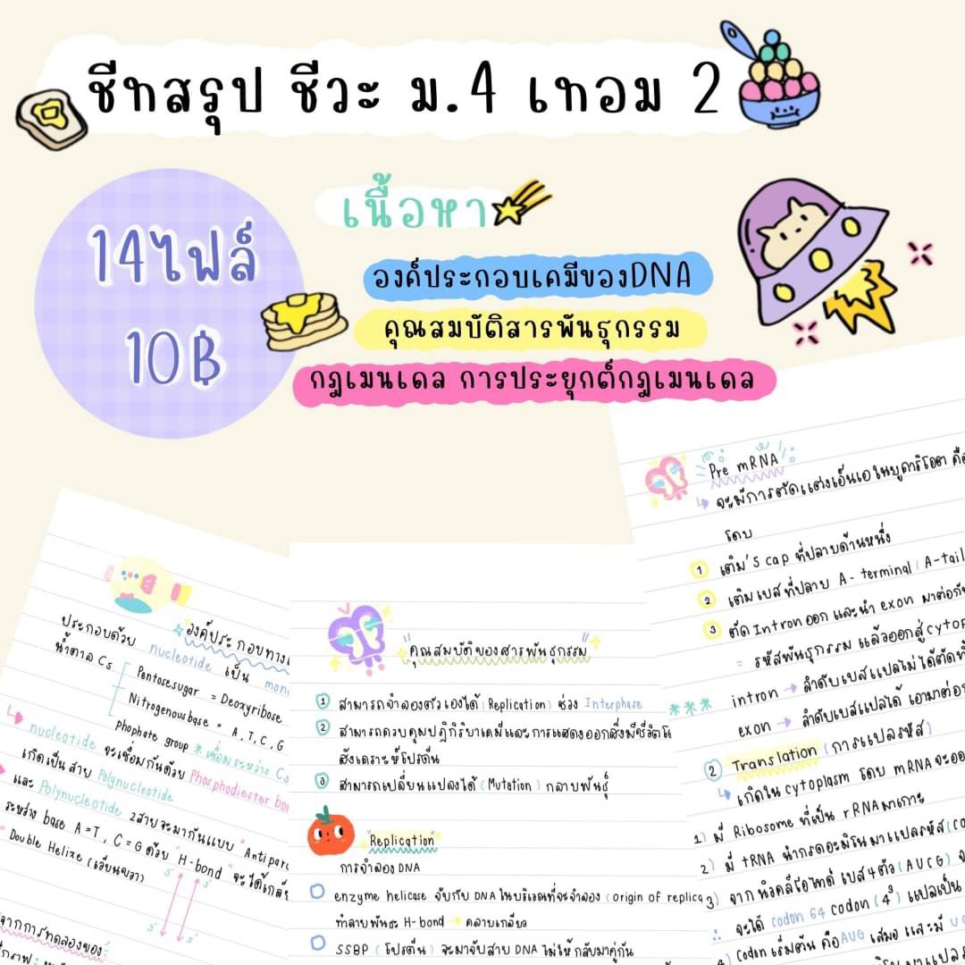ppleng🎶 รับทำการบ้าน ขายชีทสรุป ฟอนต์ลายมือ tweet media