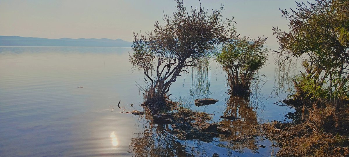 MirecGabriel's tweet photo. Jazero Vrana za rána...#pakostane #Croatia https://t.co/qsRN2c0NIb