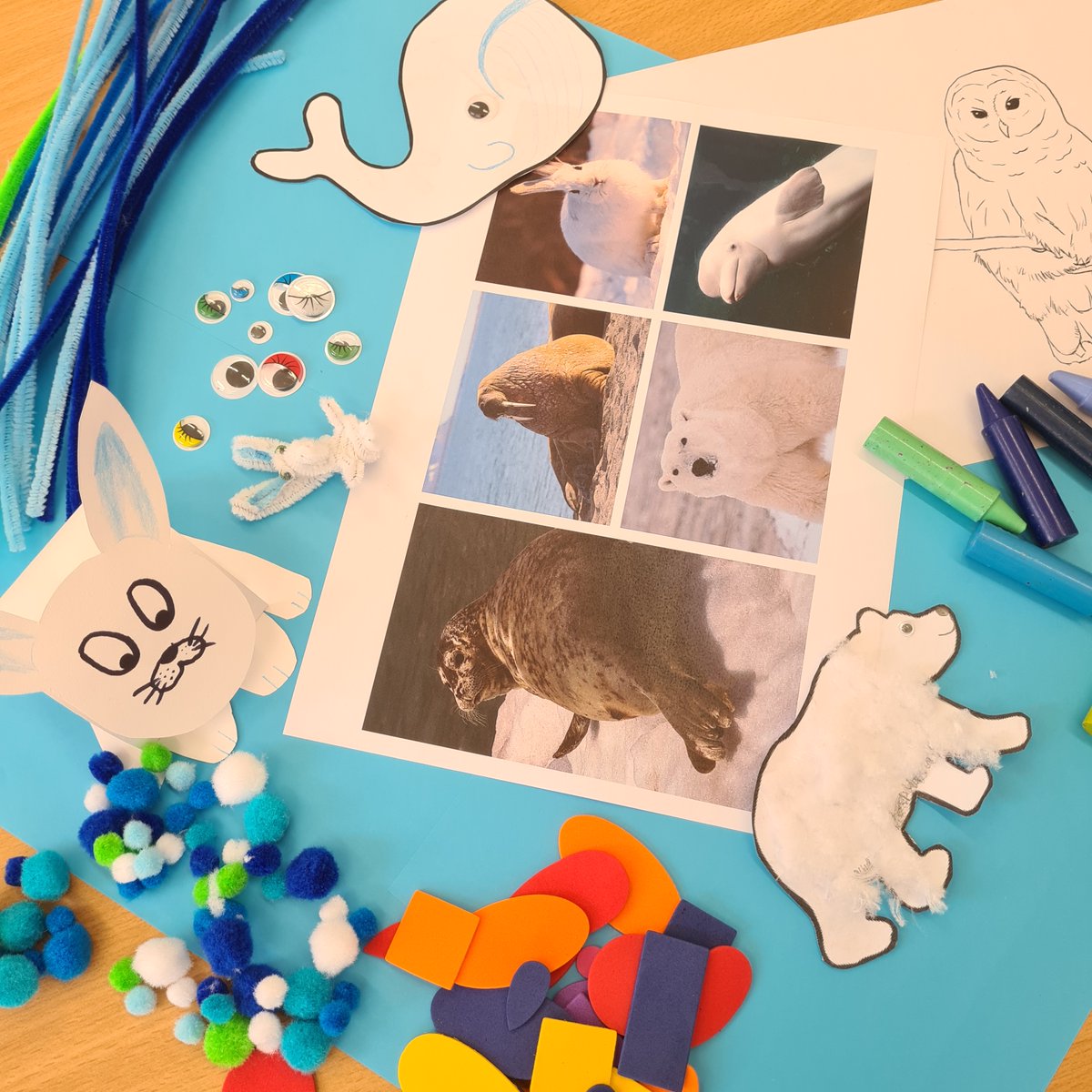 Hull Maritime tweet media