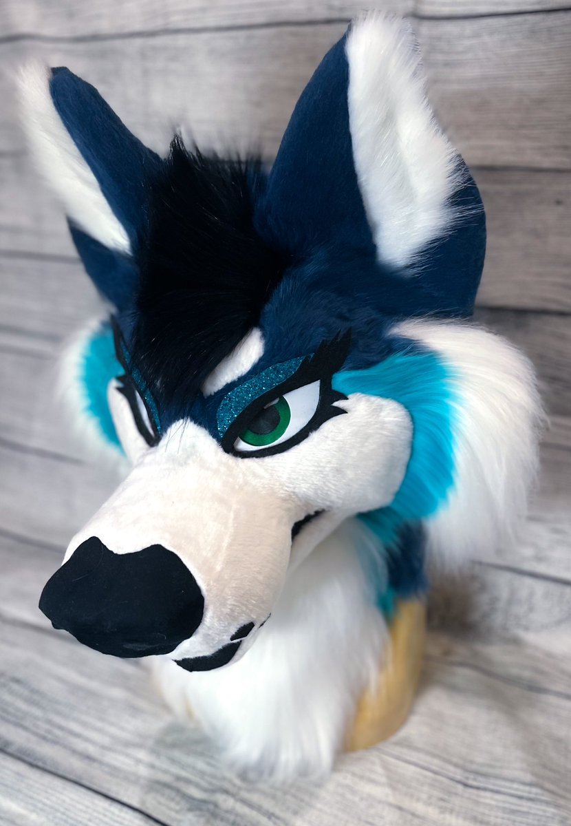 fleetingfennec's tweet photo. Introducing Blū the malamute! 

This is a suit remake! I was delighted to make this character in my newest style 💙 https://t.co/rdlBYBSLaF