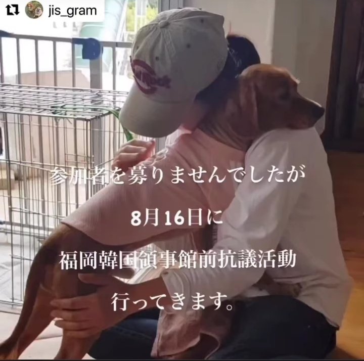 あした！１６日、１１時〜福岡韓国領事館前でHIROMIさんが一人で立って犬肉反対活動をおこなってくださいます！どうか皆さんも福岡領事館宛にハガキやFAX送信で応援してあげてください！30分でも１時間でも犬達のためにパネルを持っていただけるかた、いらっしゃいましたらご参加お願いします！