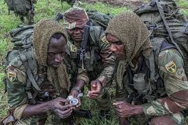 DhliwayoCandy's tweet photo. They will defend this country with their blood. I SALUTE these men and women. #HappyDefenceForcesDay https://t.co/wXAzOsFp55
