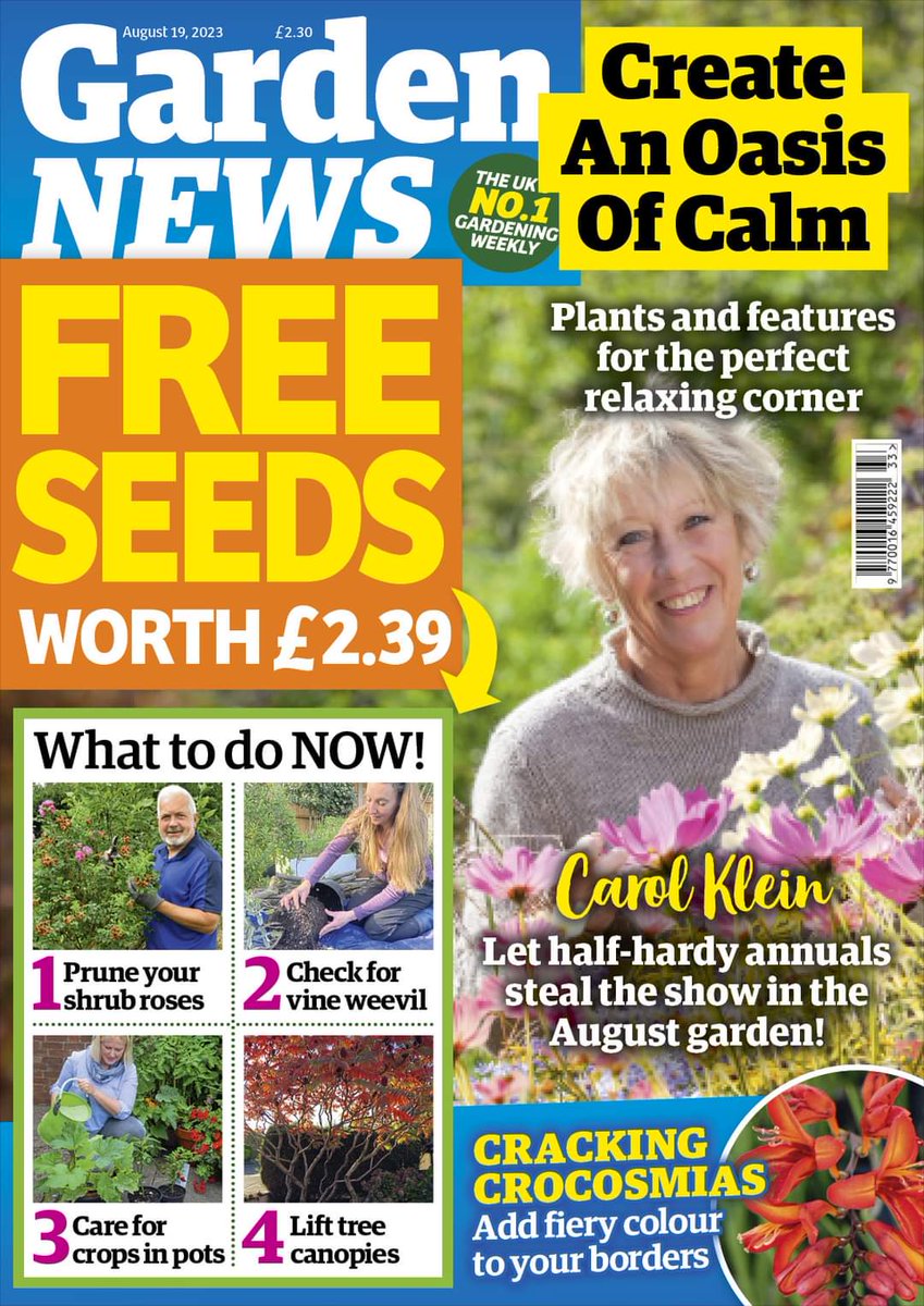 NEW ISSUE DAY! 🌱 Create An Oasis Of Calm 😌

🟩 Plants and features for the perfect relaxing corner
🟩 Carol Klein: Let half-hardy annuals steal the show in the August garden!
🟩 CRACKING CROCOSMIAS: Add fiery colour to your borders

PLUS! What to do now in your garden