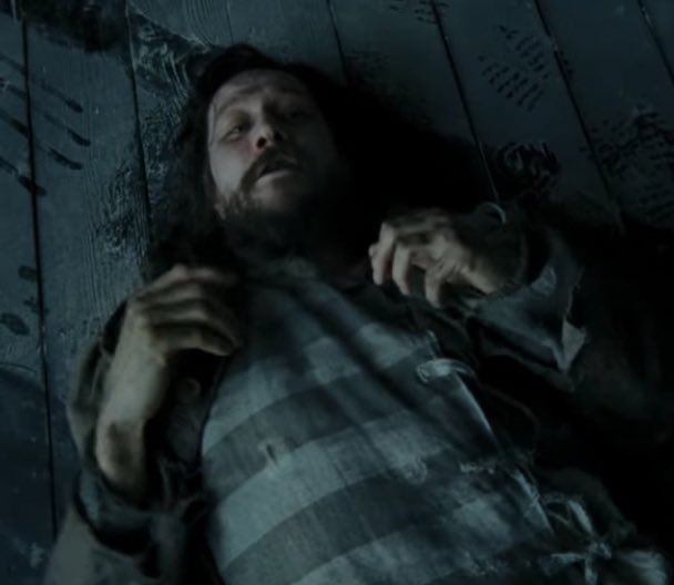 aurora ☆ tweet media