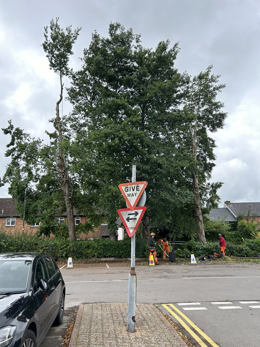 NYRparty's tweet photo. @sainsburys please stop your contract company outco removing mature trees in a conservation area. Are you paying for them to remove them https://t.co/B23dMXRfAK