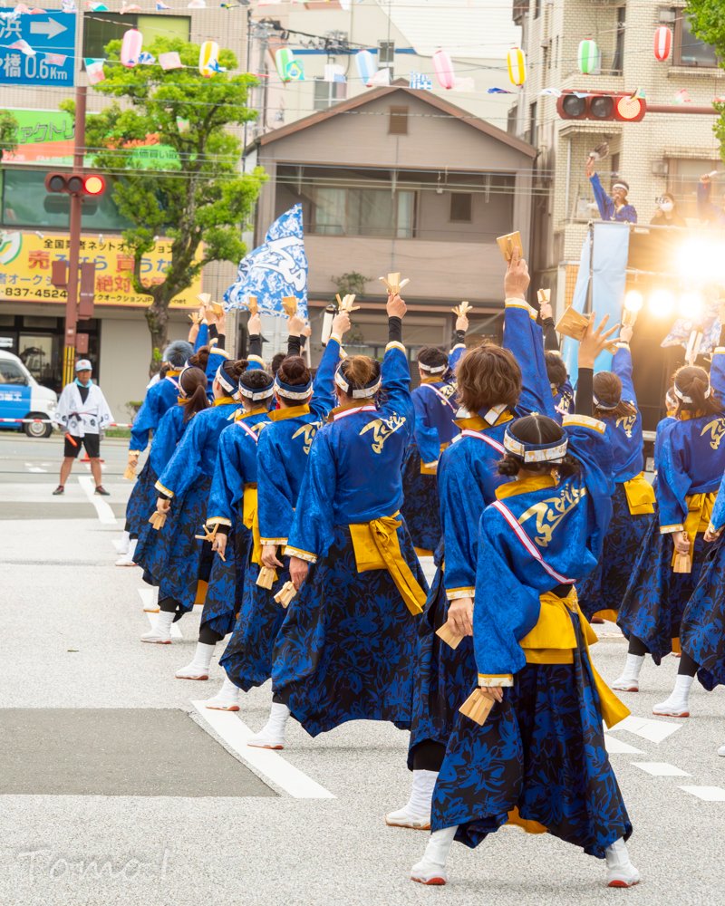 Tomo_Issy's tweet photo. 第70回高知よさこい祭り
本番１日目@梅ノ辻競演場
ふくびじん　さん

#よさこい 
#よさこい祭り2023 
#ふくびじん
#梅ノ辻競演場 https://t.co/w287vBaRWU