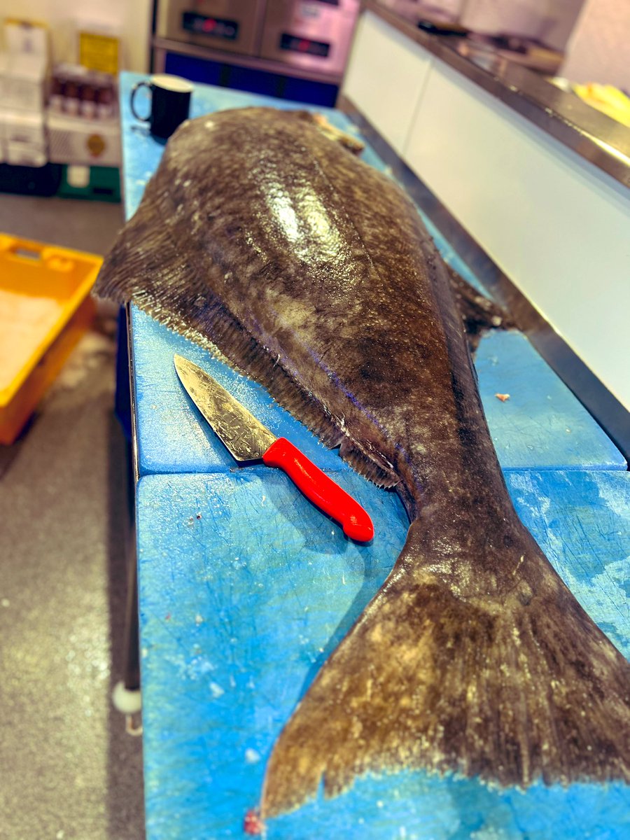 OOTBFish's tweet photo. Think I’ll need a Bigger Knife https://t.co/SZ1yfdUnAT