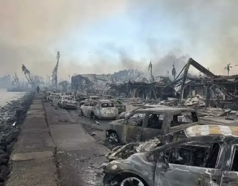 没有对比就没有伤害，可反贼殖人就是看不见。