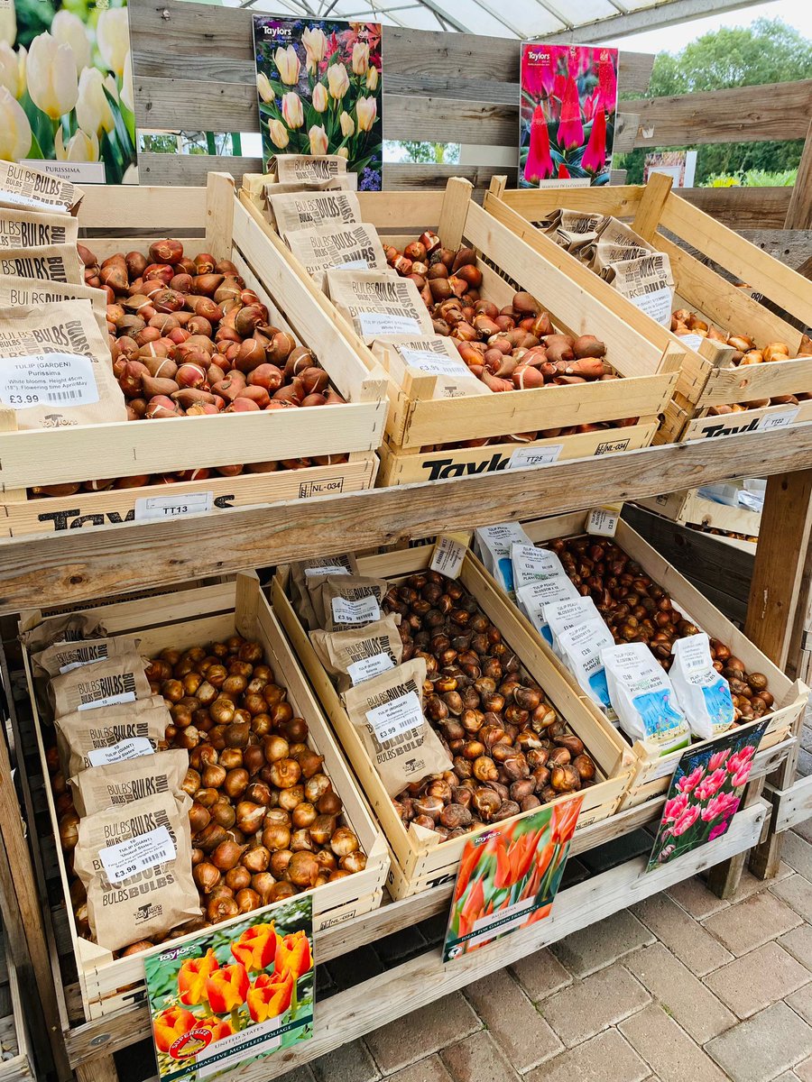 Our spring flowering #bulbs are starting to arrive!

Come along and see all the different varieties we have and choose the perfect bulbs for your #garden. 

Read our 'How to' guide for top tips on planting perrywood.co.uk/gardening-tips…