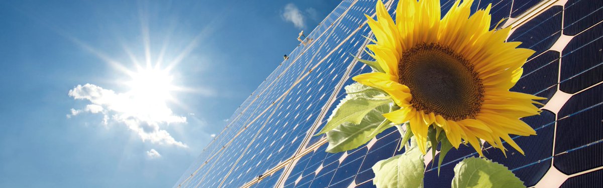 Utility Week tweet media