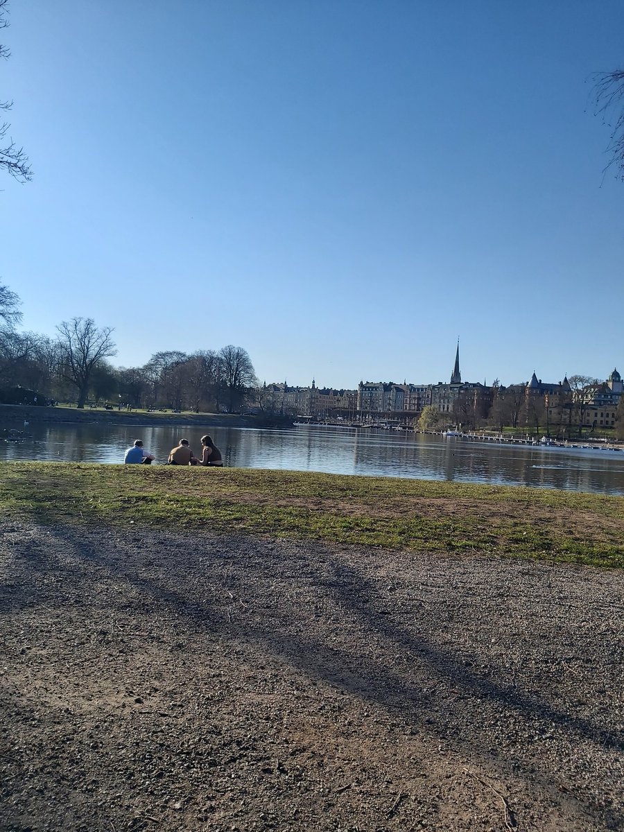 el ✩*.ﾟ tweet media