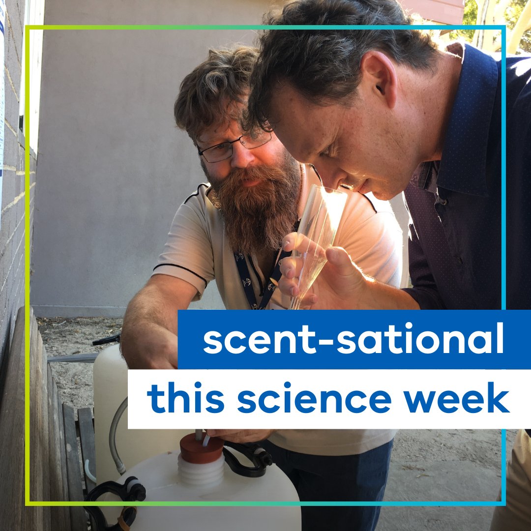 VicGovEPA's tweet photo. It's National Science Week and this is how we science with odour. 

Did you nose that no tool exists to directly measure odour in the field? 👃
We screen our officers for their sense of smell and train them for odour surveillance and investigation. https://t.co/KQcx97ThrA