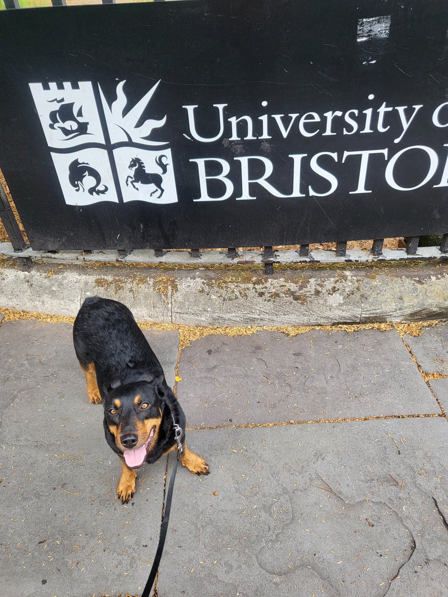 MikeArmiger's tweet photo. If you're getting your results on Thursday, I wish you the very best of luck with your results.

Jessy thinks Bristol is the best place to study. Fantastic staff &amp; students, great rugby team (@UBHRFC) and a vibrant city ready to welcome you. 

#JessyKnowsBest #ALevelResults https://t.co/YjDdapEbyn