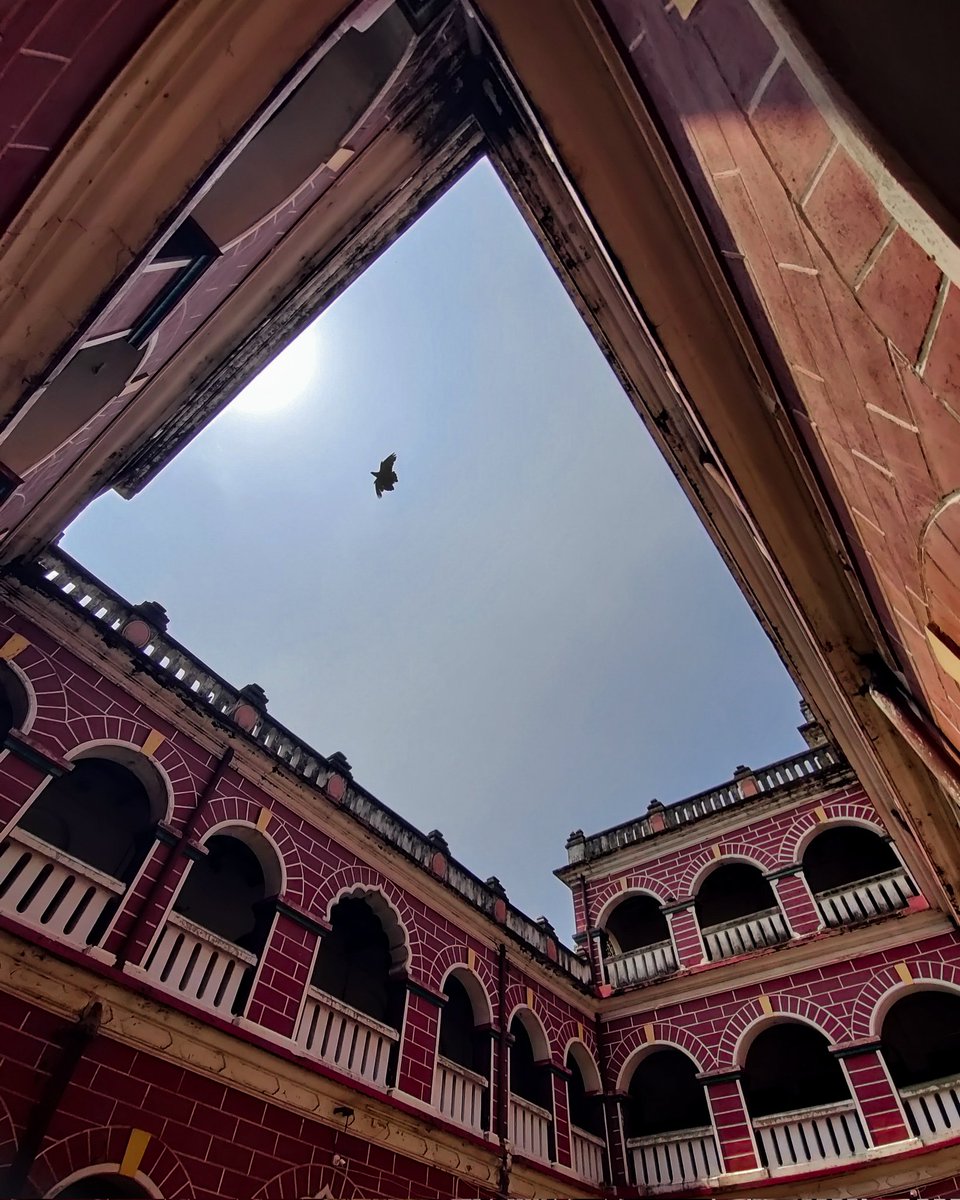 Photocularbiol1's tweet photo. 📍Dharmashala Bhubaneswar.
#Bhubaneswar #Dharmasala #IncredibleOdisha https://t.co/HMxayrYMPq
