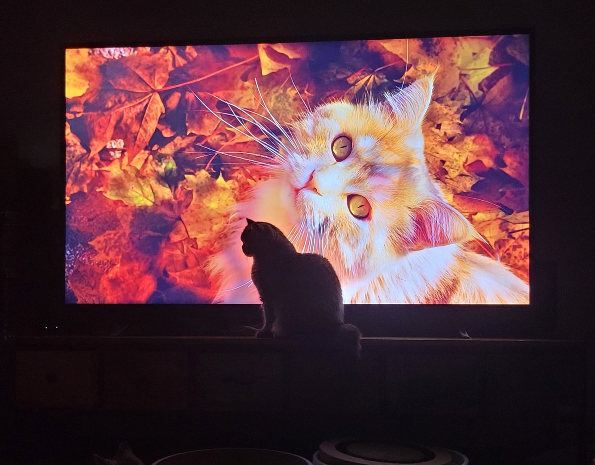 우리 애 화보 찍는 줄